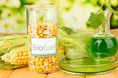 Portico biofuel availability